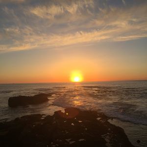 Meet your Posher, Yasmin